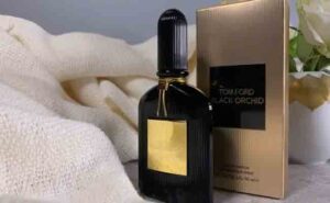 Tom Ford Black Orchid Dossier.Co 2022 Best Black Orchid Reviews